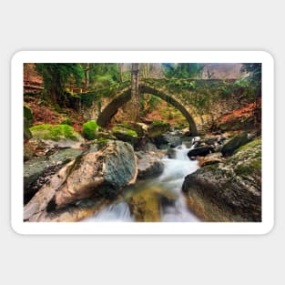 The old stone bridge of Tsagarada Sticker